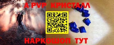 спиды Гатчина