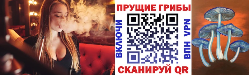 Псилоцибиновые грибы прущие грибы  Ростов-на-Дону 