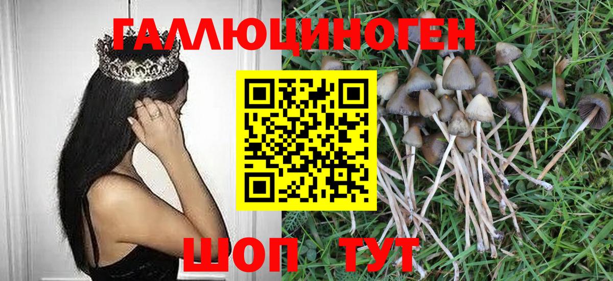 Ростов-на-Дону  сколько стоит  Вход с VPN  Галлюциногенные грибы GOLDEN TEACHER 